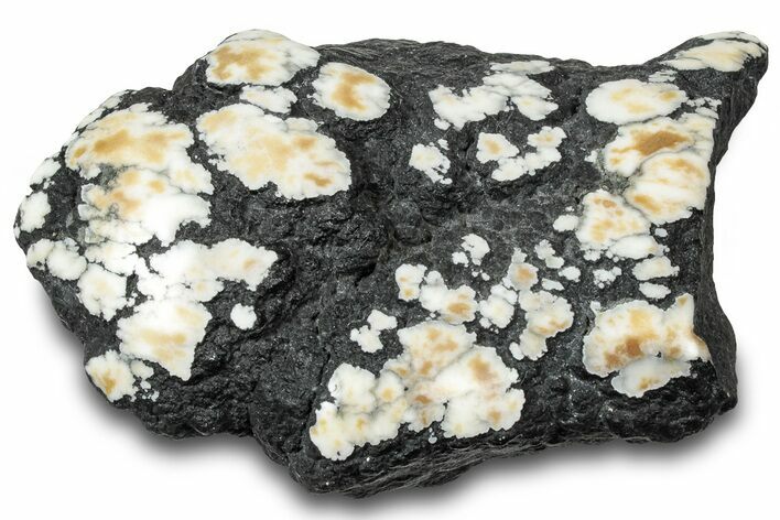 Polished Tick Canyon Howlite Nodule - California #321212